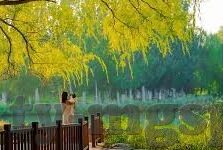 免费下载大满贯水果机-免费下载大满贯水果机，休闲时光的绝佳伴侣
