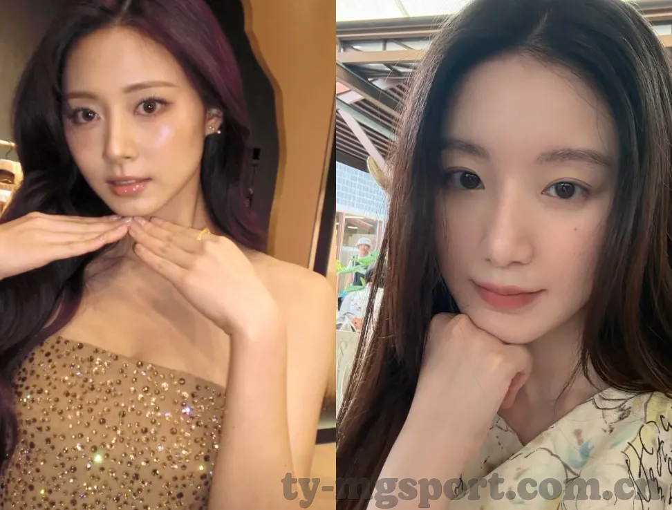 日本杏彩火锅-日本杏彩火锅，一场味觉与视觉的盛宴